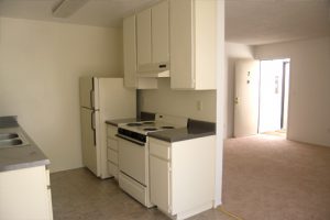 Apartment kitchen