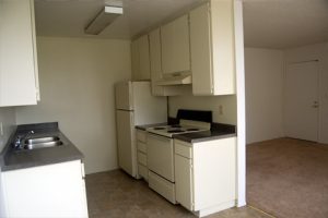 Apartment kitchen