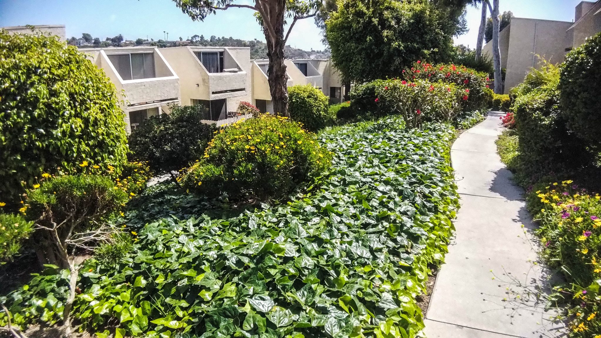 Westwood Village Apartments